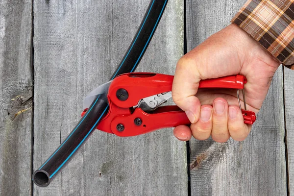 Craftsman tools. A man accurately cuts a piece of PE pressure pipe or water pipe with a red pvc pipe cutter over wood background. Clipping path. Drinking and service water systems.