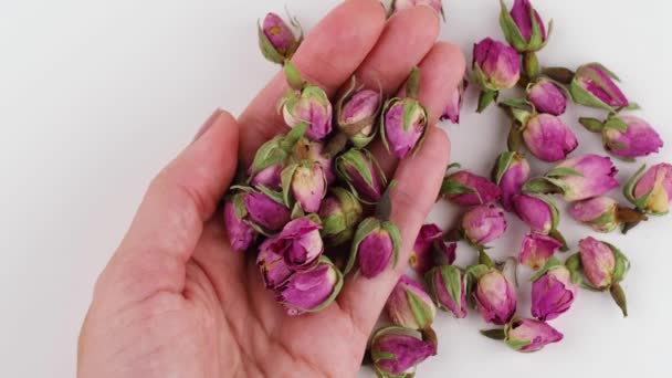 Womans Hand Holding Dried Rose Flowers — ストック動画