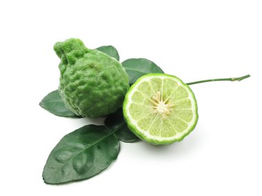 Kaffir Lime with leaves clipart