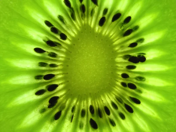 Kiwi fruit slice backlit — Stock Photo, Image