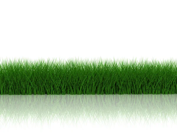 Beyaz arkaplanda yansıması olan çimenler — Stok fotoğraf