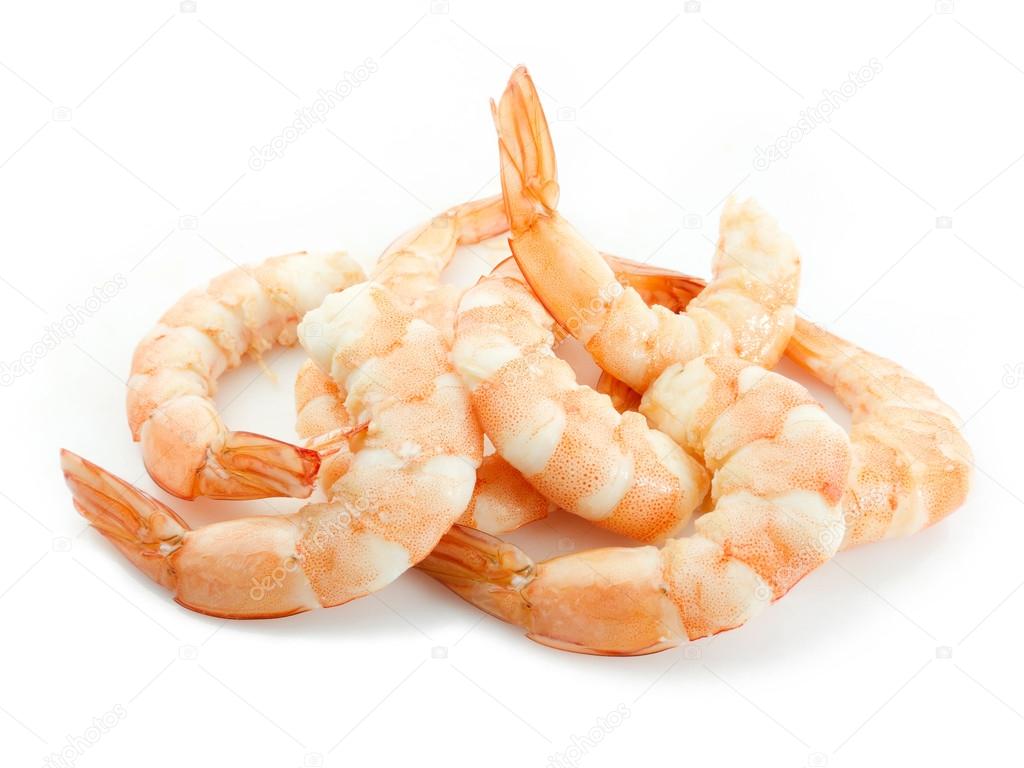 Shrimps over white background