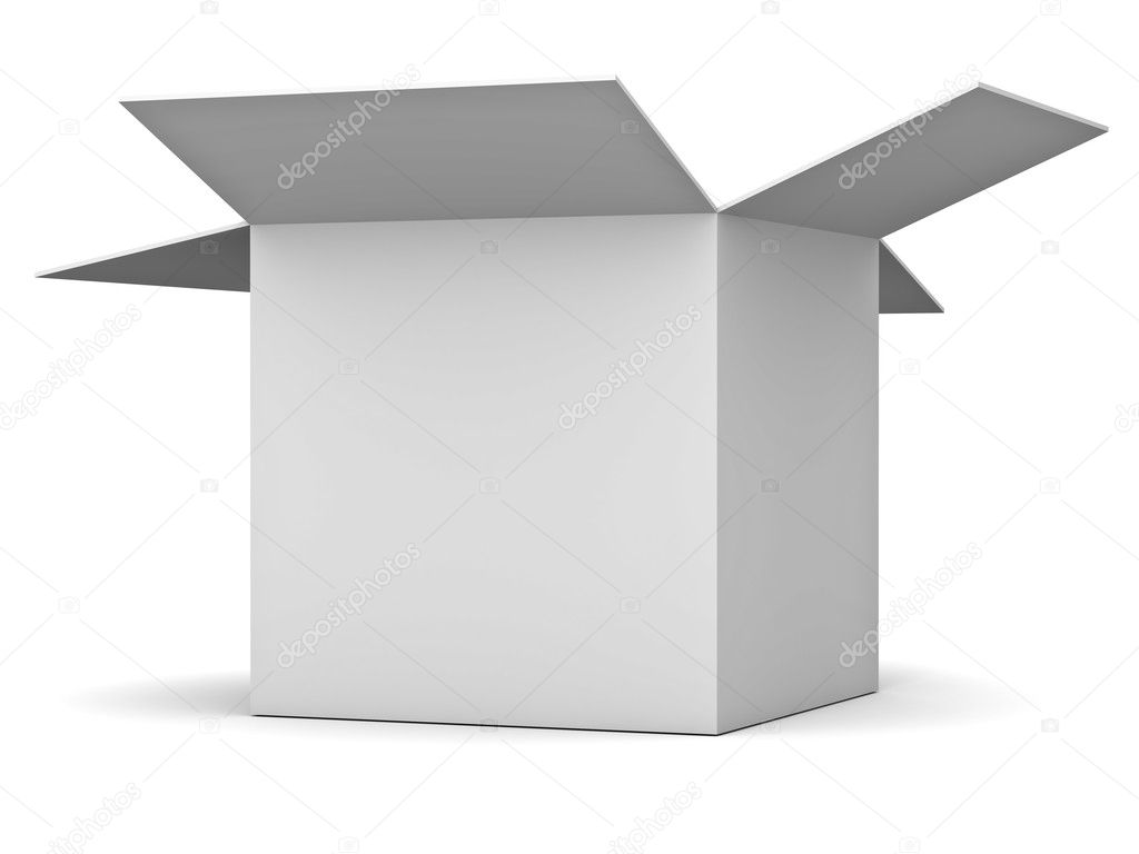 Blank opened cardboard box