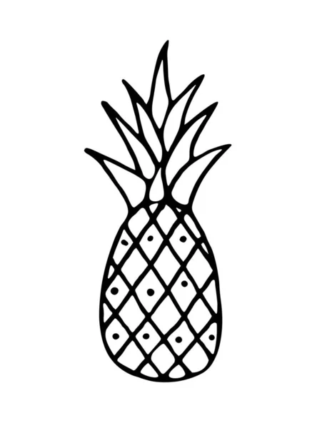 Pineapple Symbol Icon Hand Drawn Black White Pineapple Doodle — Vector de stock