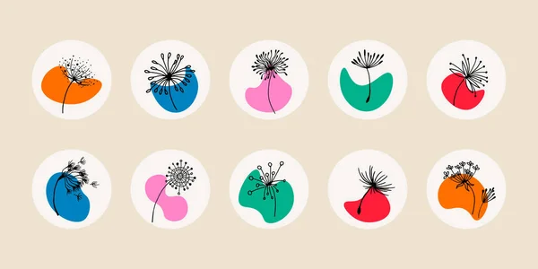 Social media icons - dandelions, dandelion seeds botanical wild flowers, bright covers, flower design icons, vector illustration. Flowers icons in doodle style.