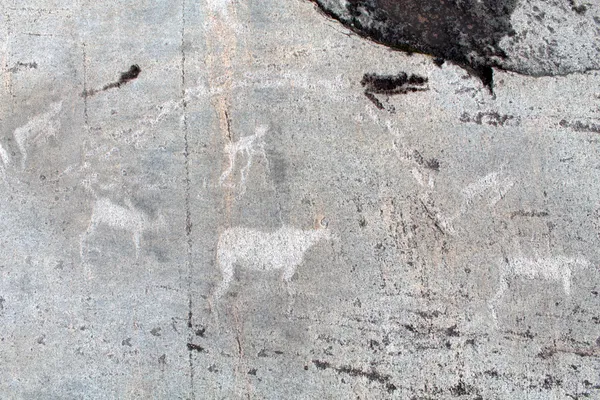 Petroglify zalavruga. zima łowiectwo — Zdjęcie stockowe