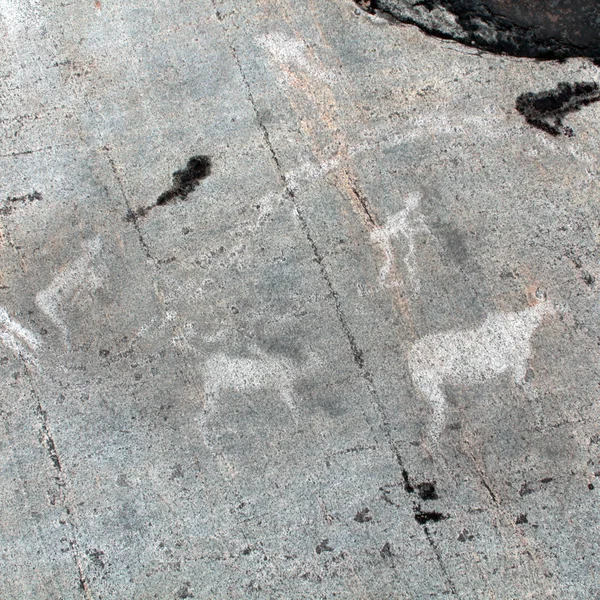 Pétroglyphes de Zalavruga. Chasse hivernale pour de — Photo