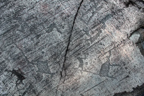 Petroglifos de Zalavruga. Alce e peixe — Fotografia de Stock