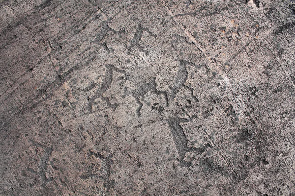 Pétroglyphes de Zalavruga. Cerfs — Photo