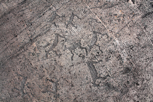 Petroglyphs of Zalavruga. Deers
