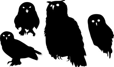 Baykuşlar Silhouettes