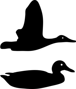 Yaban ördeği siluet