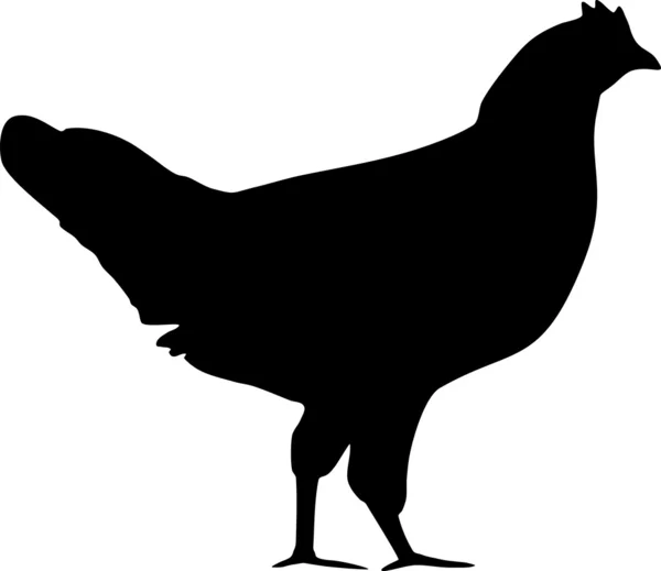 Silhouette von Huhn — Stockvektor