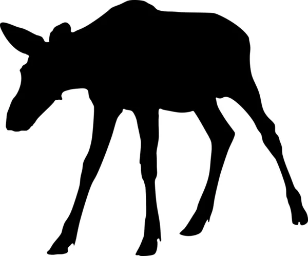 Silhouet van moose kalf — Stockvector