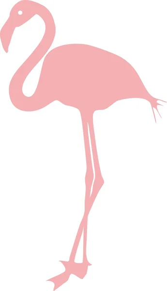 Siluet flamingo merah muda - Stok Vektor