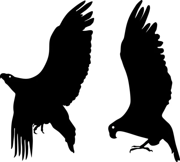 Silhouette des Adlers — Stockvektor