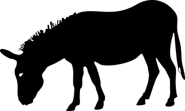 Silhouette of Donkey — Stock Vector