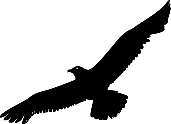 Silhouette einer fliegenden Möwe — Stockvektor