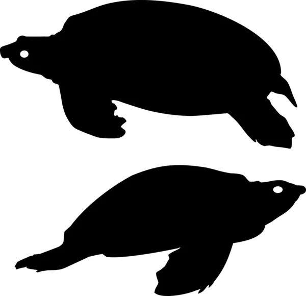 Silhouet van schildpadden — Stockvector