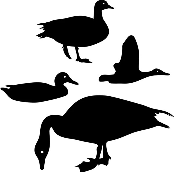 Yaban ördeği siluet — Stok Vektör