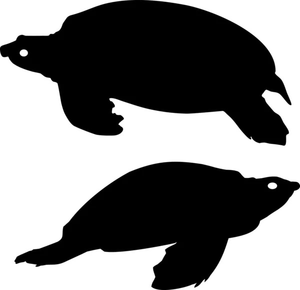 Silhouette of turtles — Stock Vector