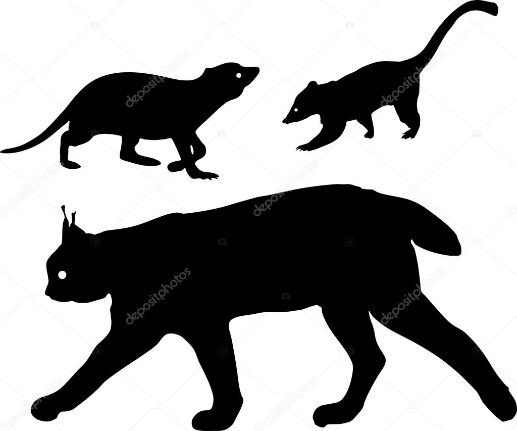 Silhouettes of lynx, meerkat and coati