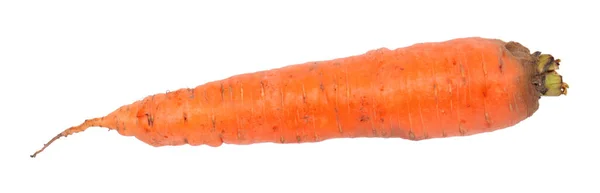 Rohe Orange Karotte Isoliert Auf Weißem Hintergrund — Stockfoto