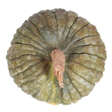 Garip engebeli yüzeyli egzotik olgun balkabağı beyaz arka planda izole edilmiş.