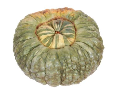 Garip engebeli yüzeyli egzotik olgun balkabağı beyaz arka planda izole edilmiş.