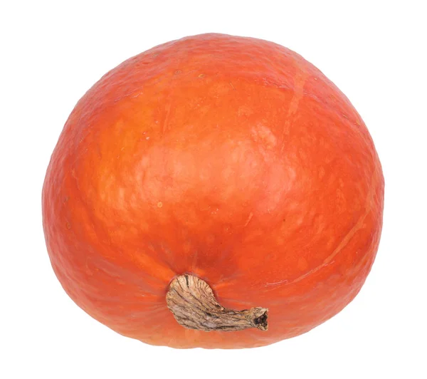 Πορτοκαλί Ώριμη Φρέσκια Κολοκύθα Απομονωμένη Λευκό Φόντο — Φωτογραφία Αρχείου