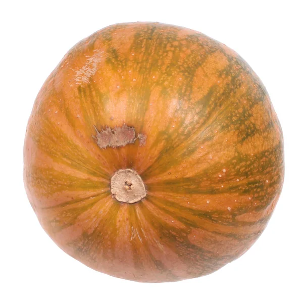 Πορτοκαλί Ώριμο Ακατέργαστο Κολοκύθι Απομονωμένο Λευκό Φόντο — Φωτογραφία Αρχείου