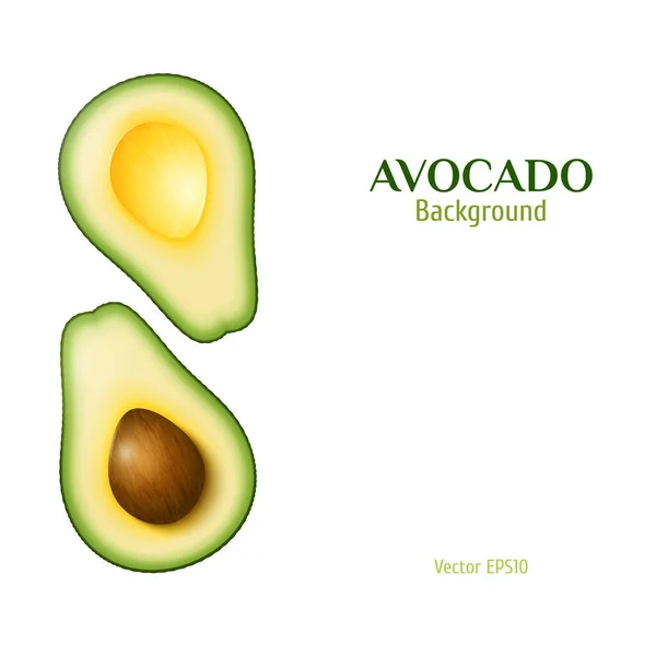 Vector Realistic Two Slices Ripe Avocado One Slice Core Design — 스톡 벡터