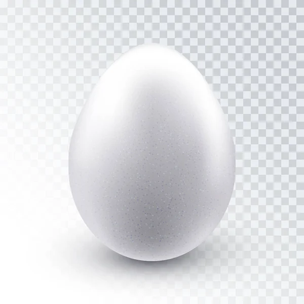 Vector Realistic White Textured Chicken Egg Shadow Isolated Transparent Background — Vettoriale Stock