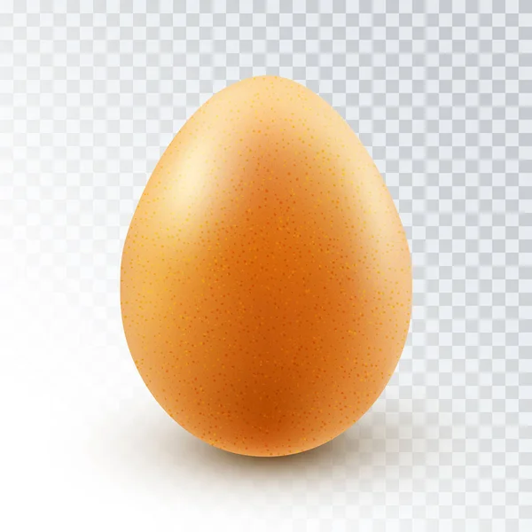 Vector Realistic Textured Brown Chicken Egg Shadow Isolated Transparent Background — Image vectorielle