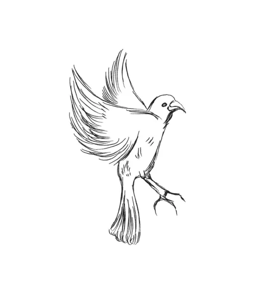 Concept Liberté Pigeon Dessiné Main Volant Deux Mains Liberté Vie — Image vectorielle