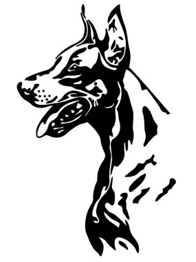 Doberman