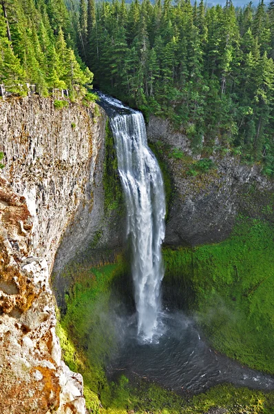 Salt Creek Falls — Stockfoto