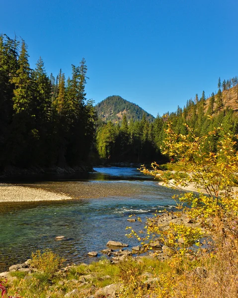 Wenatchee River – stockfoto