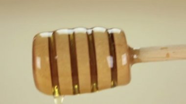 askıya alınan olmus