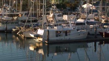 Marina Zoom