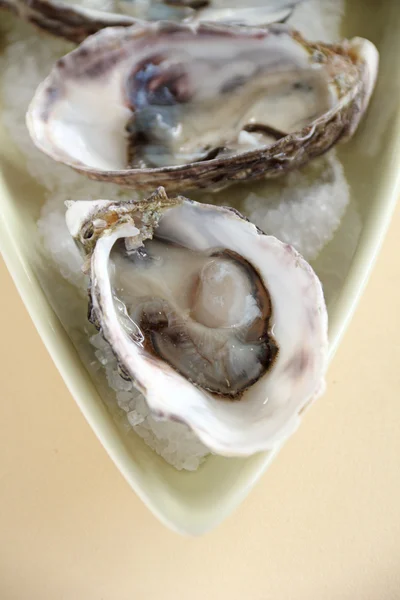 Oesters natuurlijke — Stockfoto