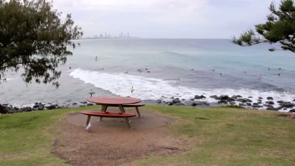 Teste di Burleigh — Video Stock