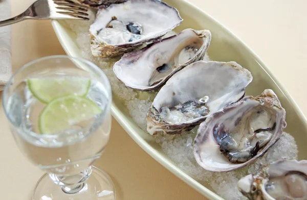 Oesters natuurlijke — Stockfoto