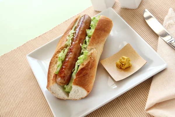 Sertés- és káposzta Hot Dog — Stock Fotó