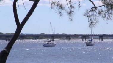 Bribie ada Köprüsü