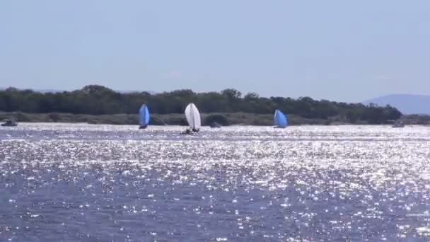 Zeilen op de schitterende water — Stockvideo