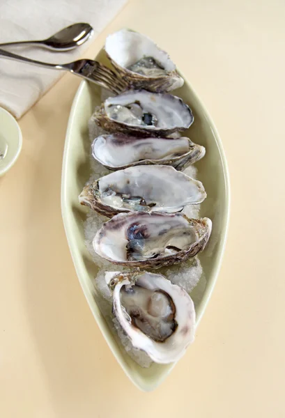 Oysters Natural — Stock Photo, Image