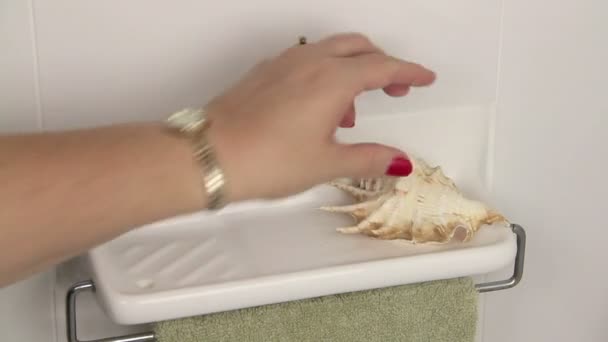 Seashells On Shelf — Stock Video