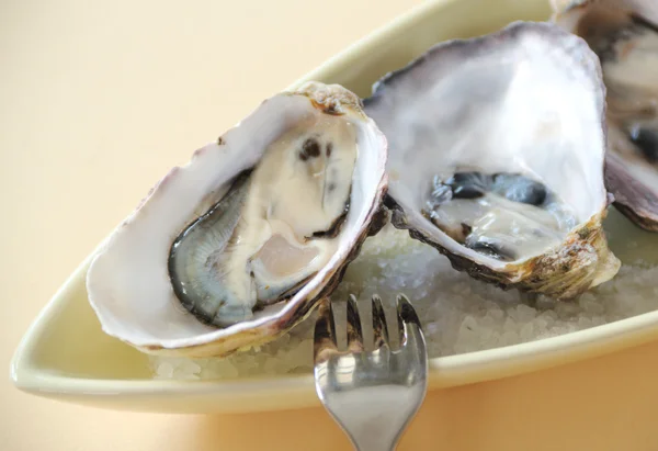 Natuurlijke oesters — Stockfoto