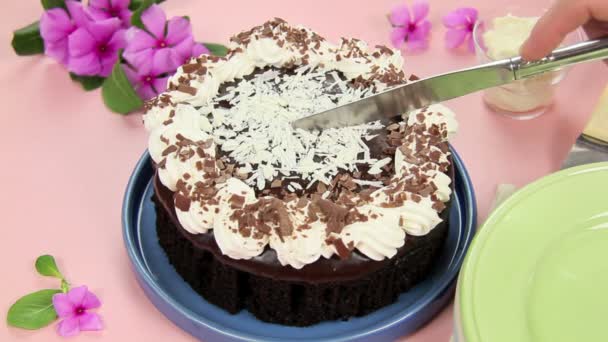 Slicing Mud Cake — Stock Video